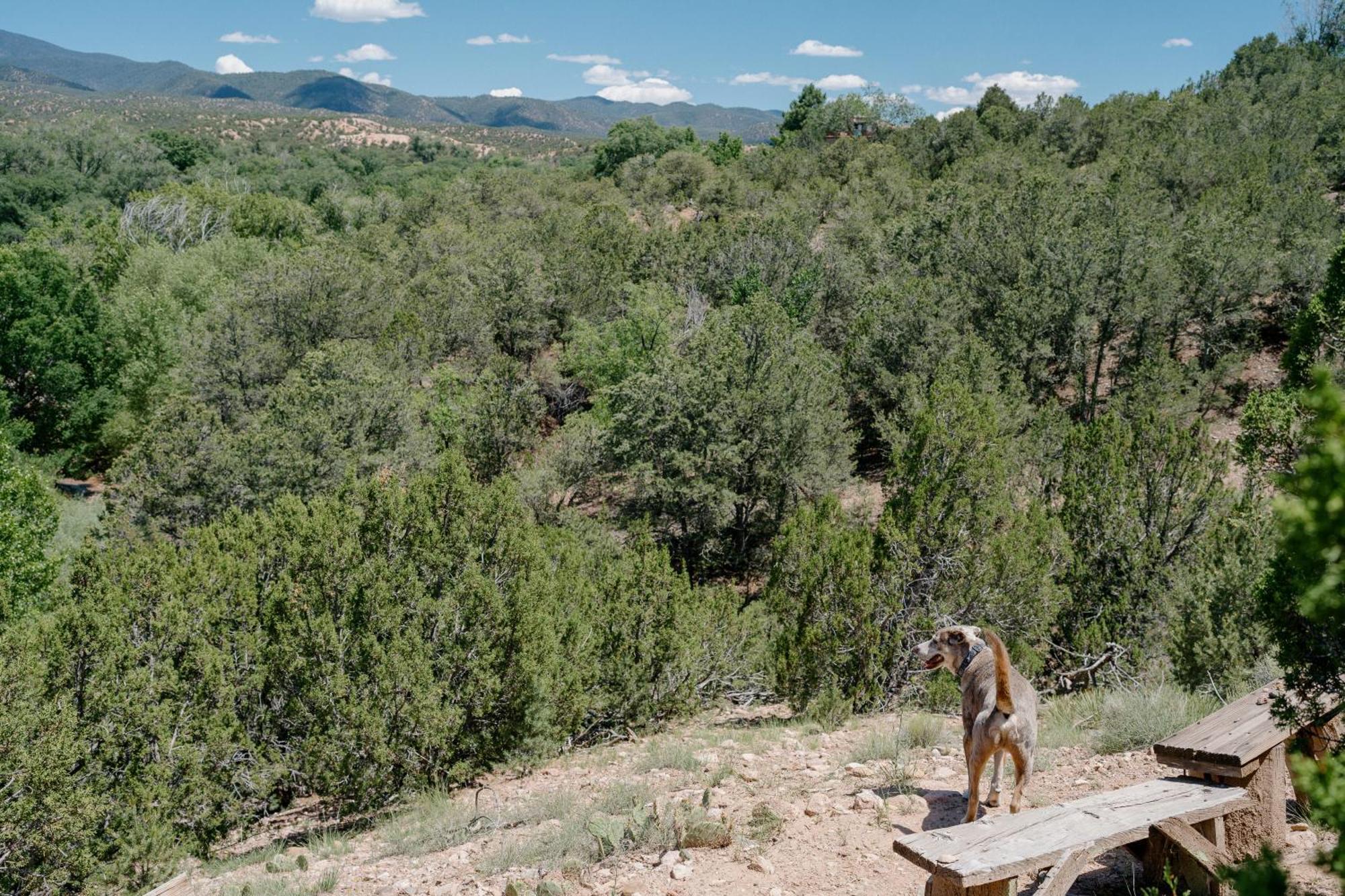 Tesuque Outpost Casita E Best Views In Santa Fe Exterior foto